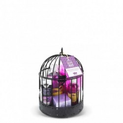 Les Petits Bains de Provence Cage Provence