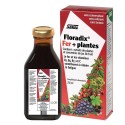 Floradix Fer+ Plantes Sirop 250ml