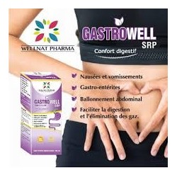 Gastrowell Sirop 250ml