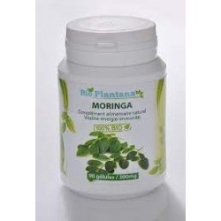 Bio Plantana Moringa 90 Gélules