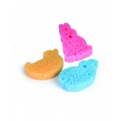 Canpol Thermomètre Sucette 2