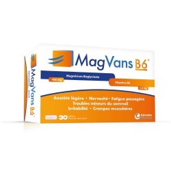 magvans b6 30 gélules