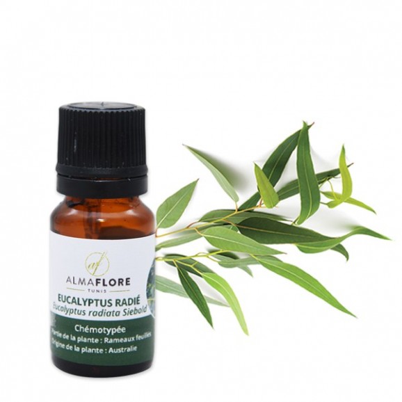 Almaflore Huile essentielle de Eucalyptus Radié 10ML