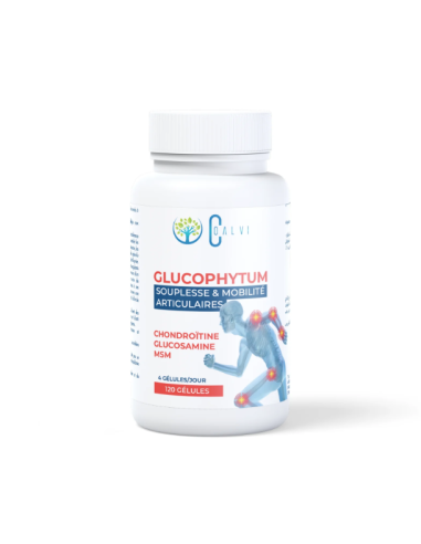 Coalvi GLUCOPHYTUM 120 gélules