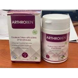 Arthroben 30 Gélules