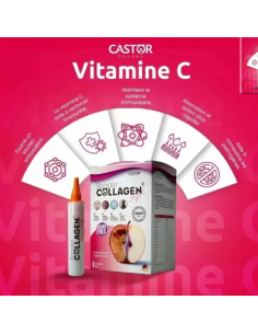 Castor Booster Collagen Lift 12 Shots De 15ml