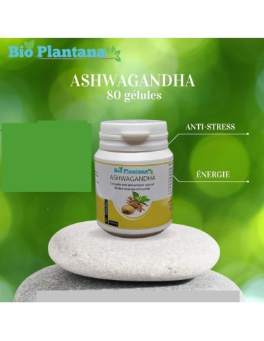 Bio Plantana Ashwagandha 80 Gélules