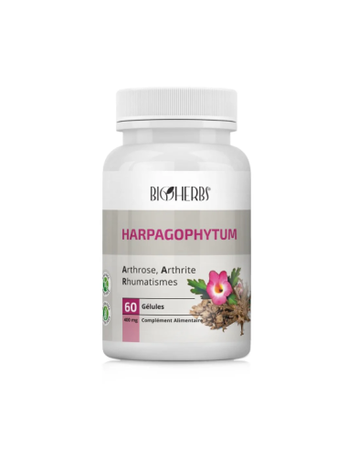 Bioherbs Harpagophytum 60 gélules