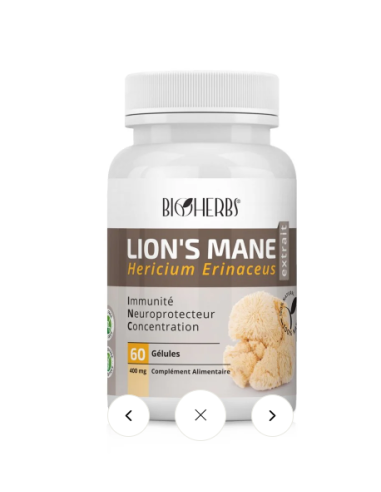 Bioherbs Lion’s mane 30 Gélules