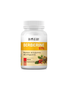 Bioherbs Berberine 97% 60 Gélules