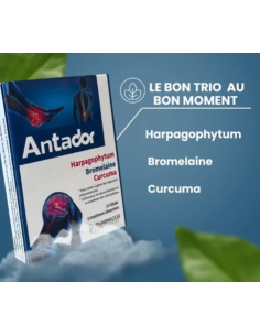 pharmador artidor 15 gélules
