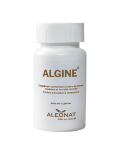 Algine 15 Gélules