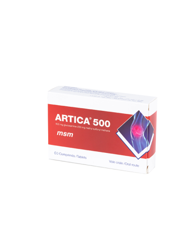 Artica 500/250 60 Comprimes