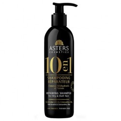 Asters shampoing Réparateur 250ml